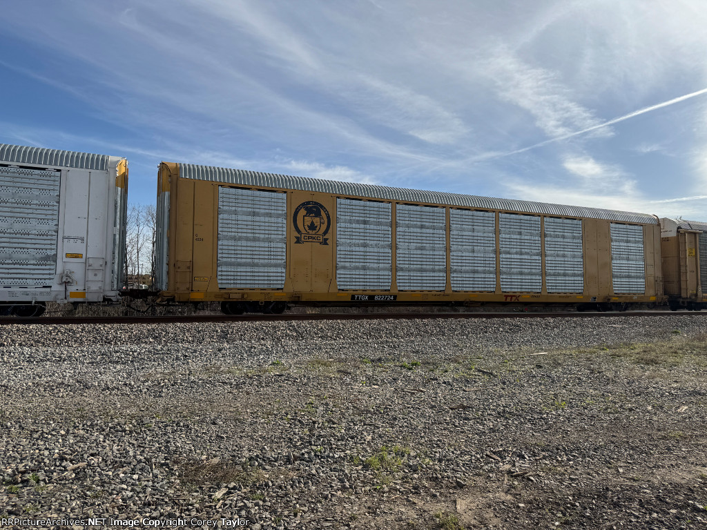 TTGX 822724